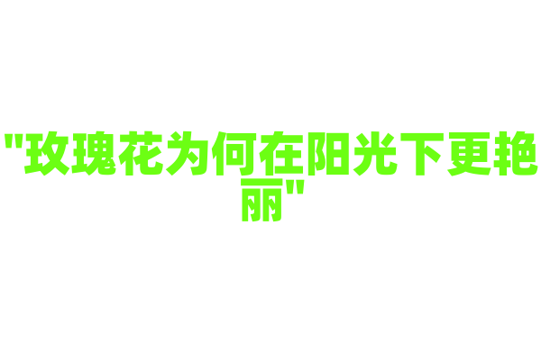 "玫瑰花为何在阳光下更艳丽"